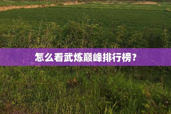 怎么看武炼巅峰排行榜？
