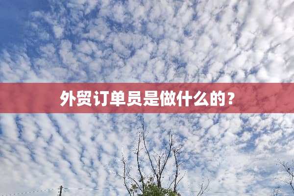 外贸订单员是做什么的？