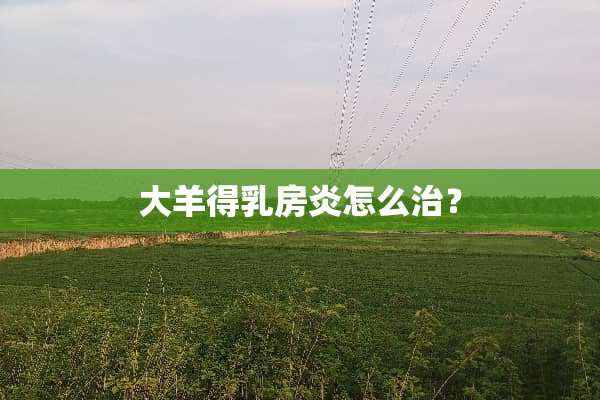 大羊得*房炎怎么治？
