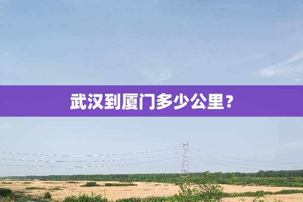 武汉到厦门多少公里？