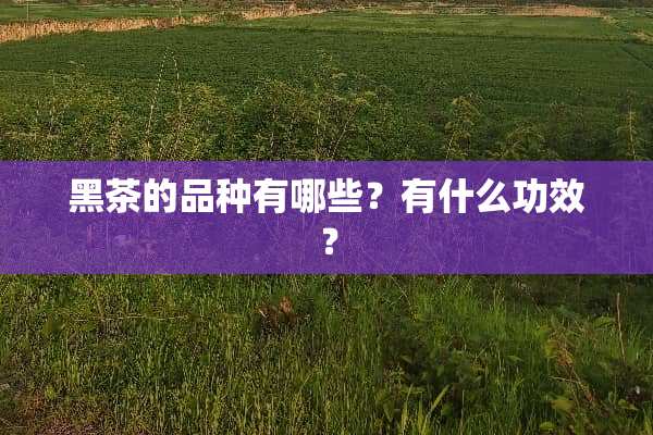 黑茶的品种有哪些？有什么功效？