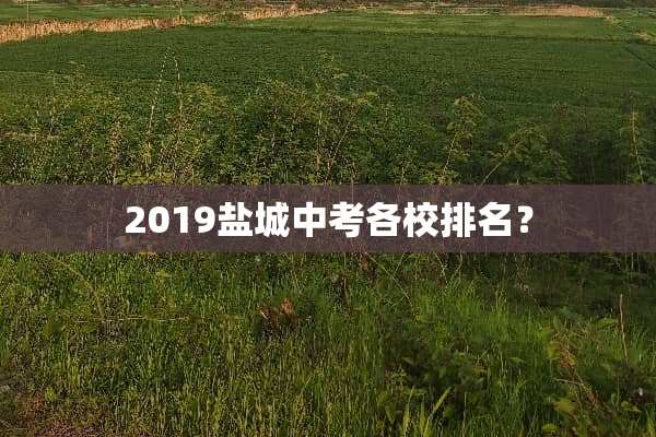 2019盐城中考各校排名？