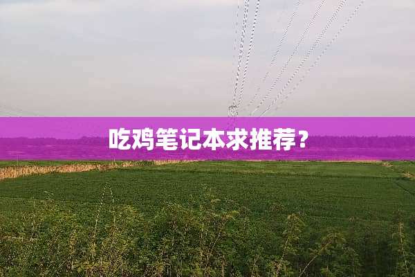 吃鸡笔记本求推荐？