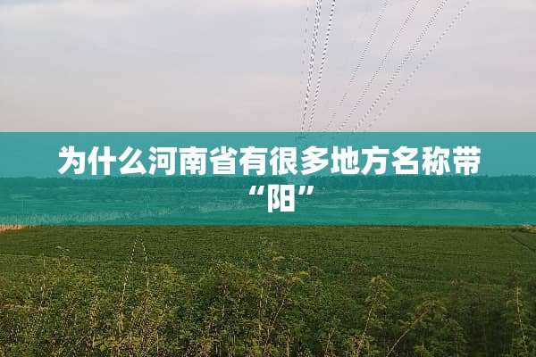 为什么河南省有很多地方名称带“阳”
