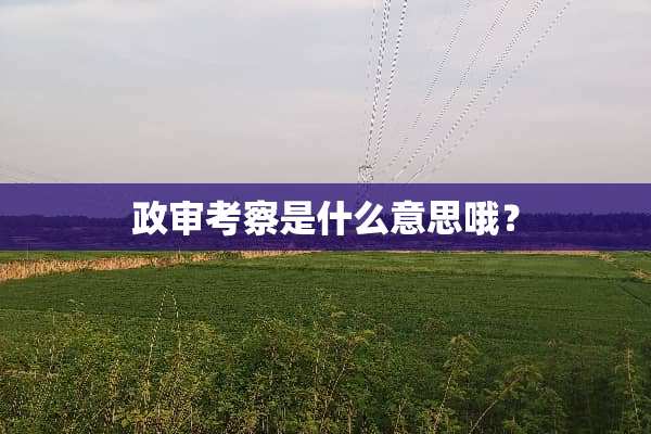 政审考察是什么意思哦？
