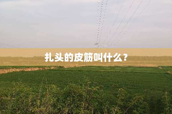 扎头的皮筋叫什么？