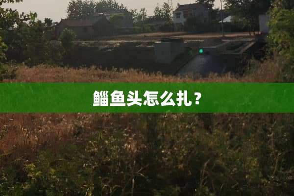 鲻鱼头怎么扎？