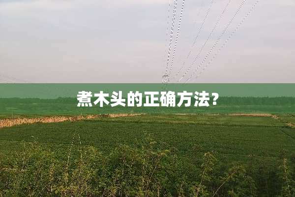 煮木头的正确方法？