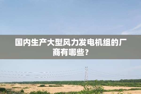 国内生产大型风力发电机组的厂商有哪些？