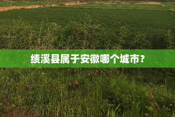 绩溪县属于安徽哪个城市？