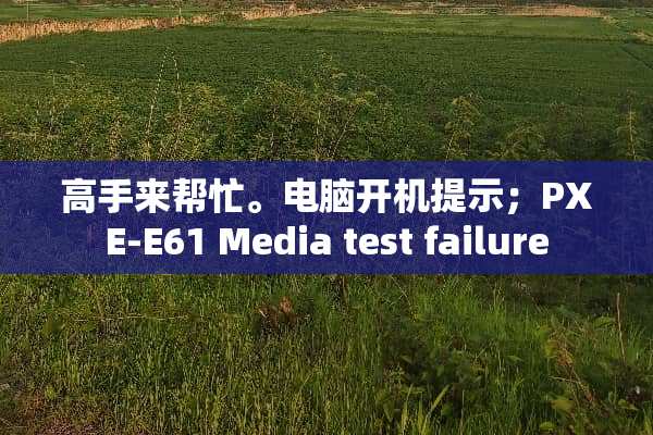 高手来帮忙。电脑开机提示；PXE-E61 Media test failure