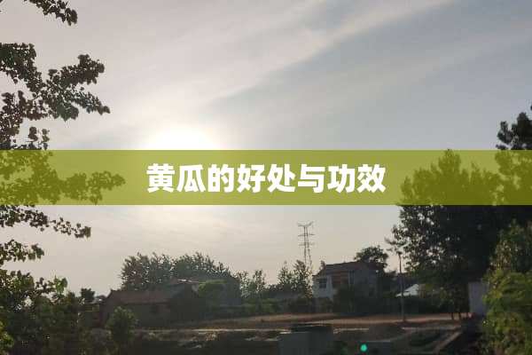 黄瓜的好处与功效
