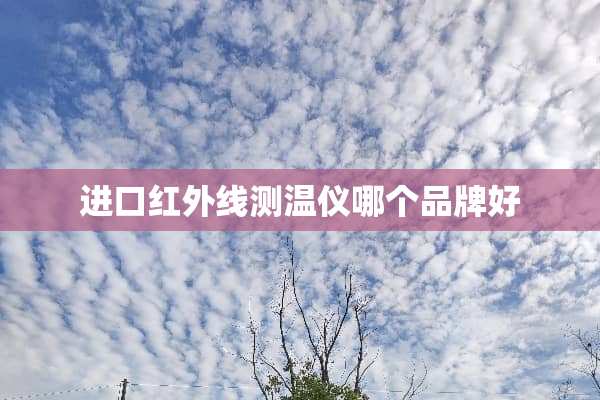 进口红外线测温仪哪个品牌好