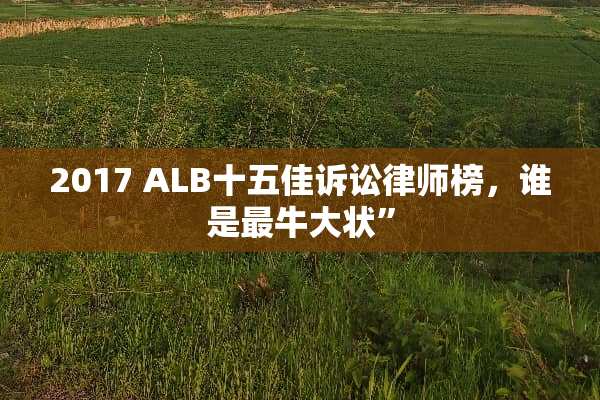 2017 ALB十五佳诉讼律师榜，谁是最牛大状”