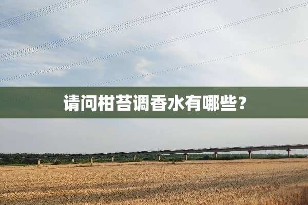 请问柑苔调香水有哪些？