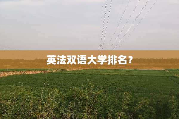 英法双语大学排名？