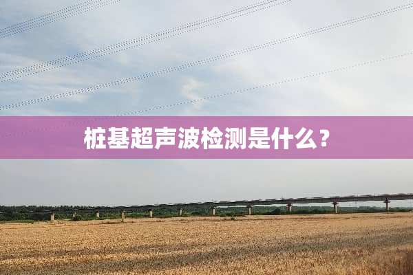 桩基***检测是什么？