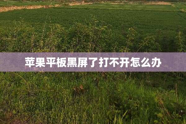 苹果平板黑屏了打不开怎么办