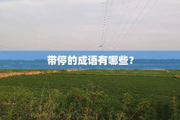 带停的成语有哪些？
