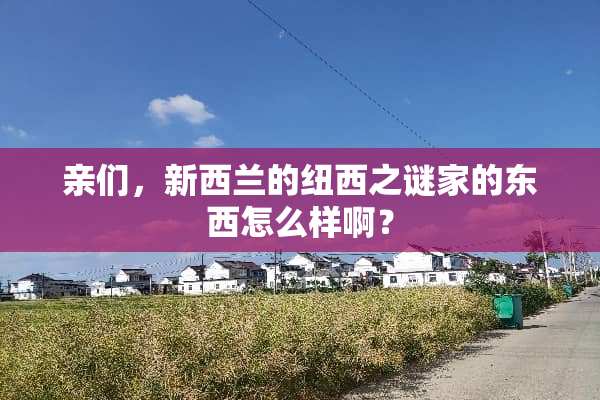亲们，新西兰的纽西之谜家的东西怎么样啊？