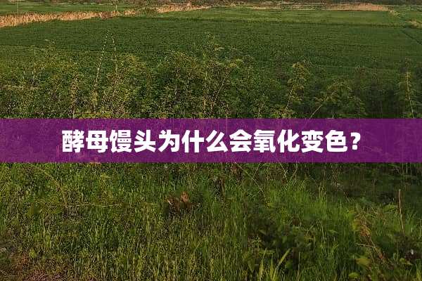 酵母馒头为什么会氧化变色？