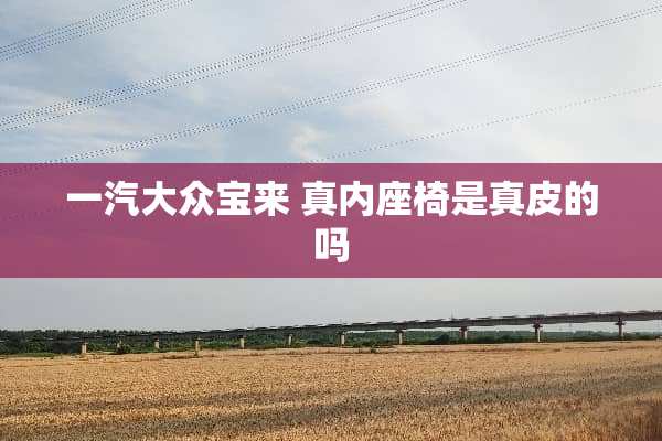 一汽大众宝来 真内座椅是真皮的吗