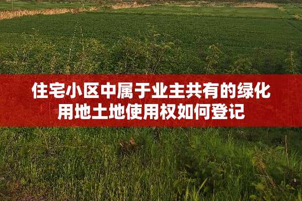 住宅小区中属于业主共有的绿化用地土地使用权如何登记