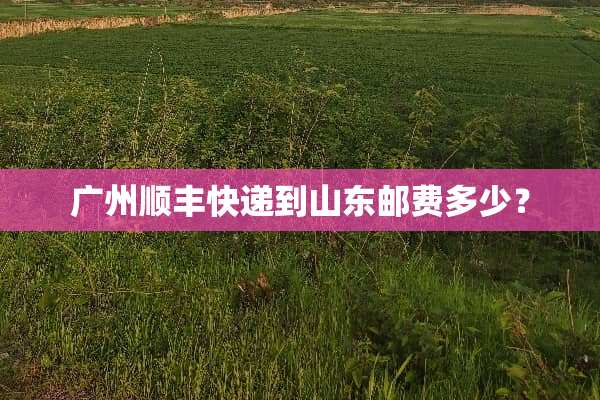 广州顺丰快递到山东邮费多少？