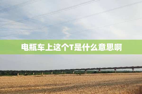 电瓶车上这个T是什么意思啊