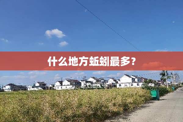 什么地方蚯蚓最多？