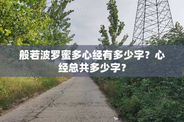 般若波罗蜜多心经有多少字？心经总共多少字？