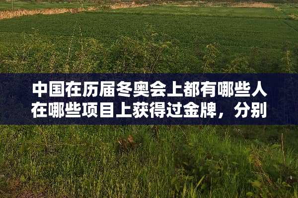 中国在历届冬奥会上都有哪些人在哪些项目上获得过金牌，分别是哪届冬奥会获得的？