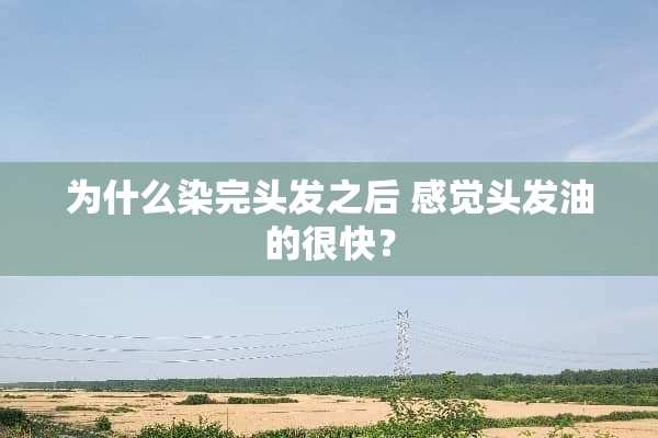 为什么染完头发之后 感觉头发油的很快？