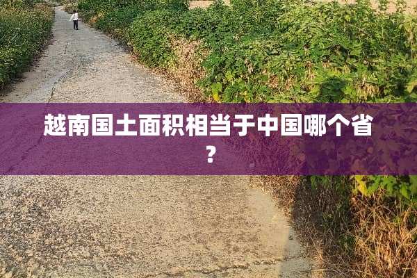 越南国土面积相当于中国哪个省？