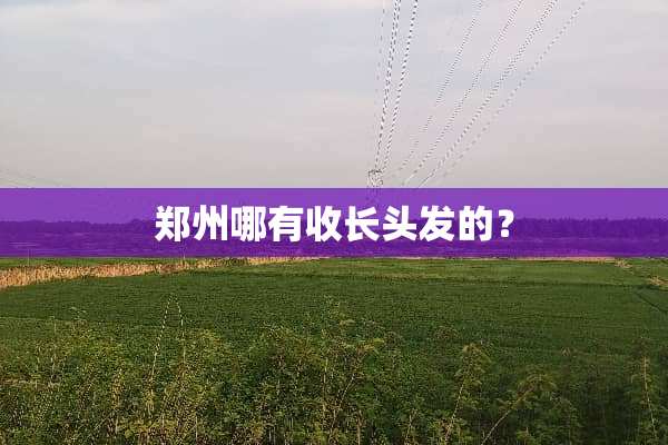 郑州哪有收长头发的？
