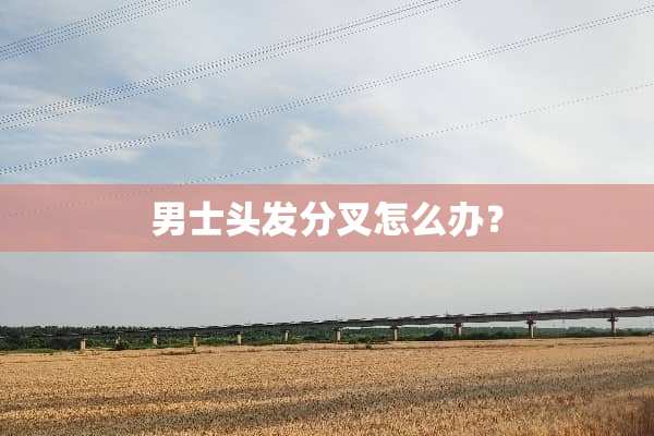 男士头发分叉怎么办？