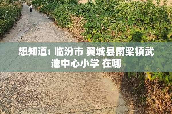 想知道: 临汾市 翼城县南梁镇武池中心小学 在哪
