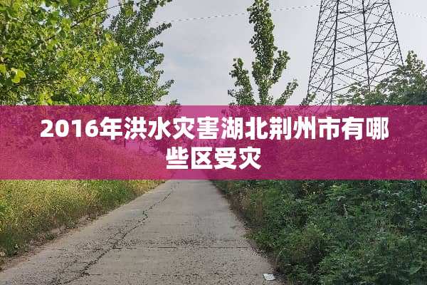 2016年洪水灾害湖北荆州市有哪些区受灾