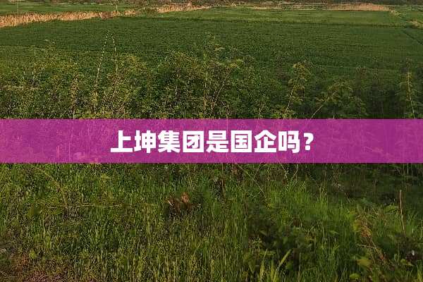 上坤集团是国企吗？