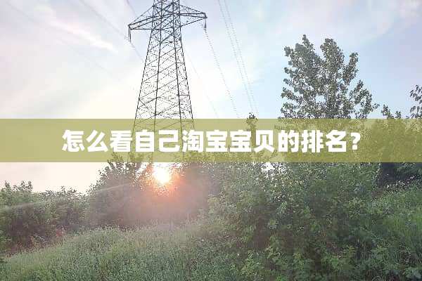 怎么看自己淘宝宝贝的排名？