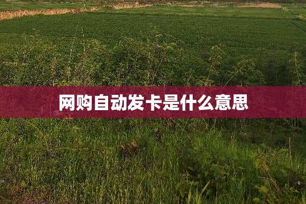 网购自动发卡是什么意思
