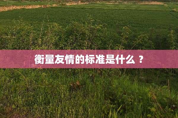 衡量友情的标准是什么 ？
