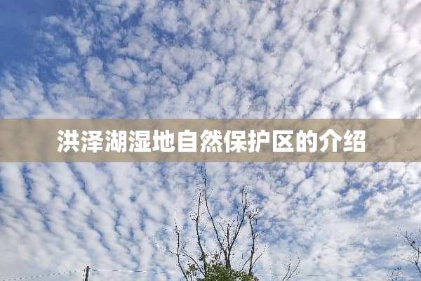 洪泽湖湿地自然保护区的介绍