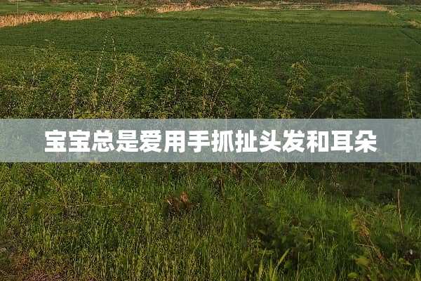 宝宝总是爱用手抓扯头发和耳朵