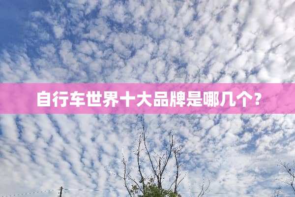 自行车世界十大品牌是哪几个？