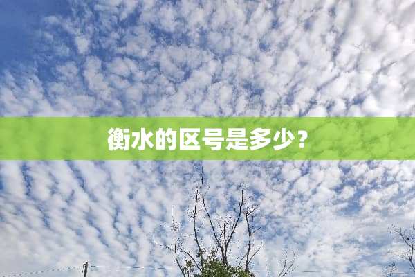 衡水的区号是多少？