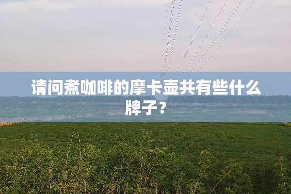 请问煮咖啡的摩卡壶共有些什么牌子？