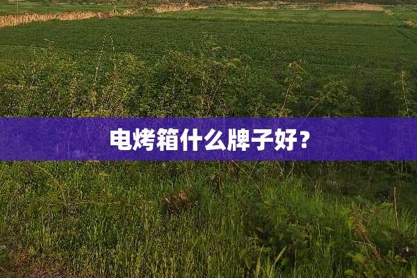 电烤箱什么牌子好？