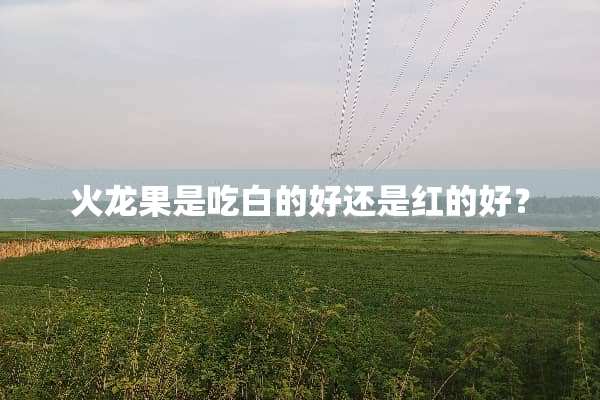 火龙果是吃白的好还是红的好？