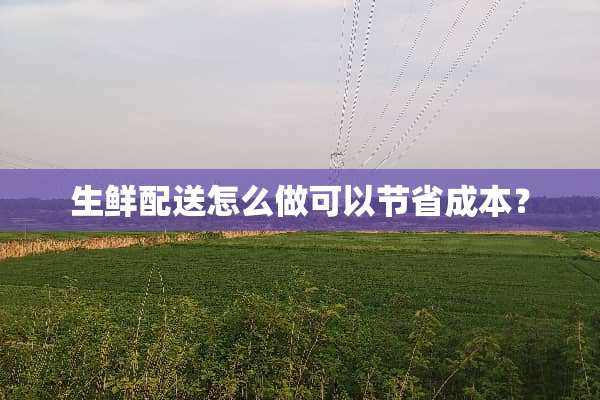 生鲜配送怎么做可以节省成本？